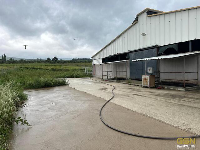 30-GSN GAYRİMENKUL'DEN AVRUPA STANDARTLARINDA RUHSATLI BESİÇİFTLİĞİ